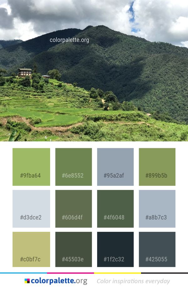 Highland Vegetation Hill Station Color Palette
