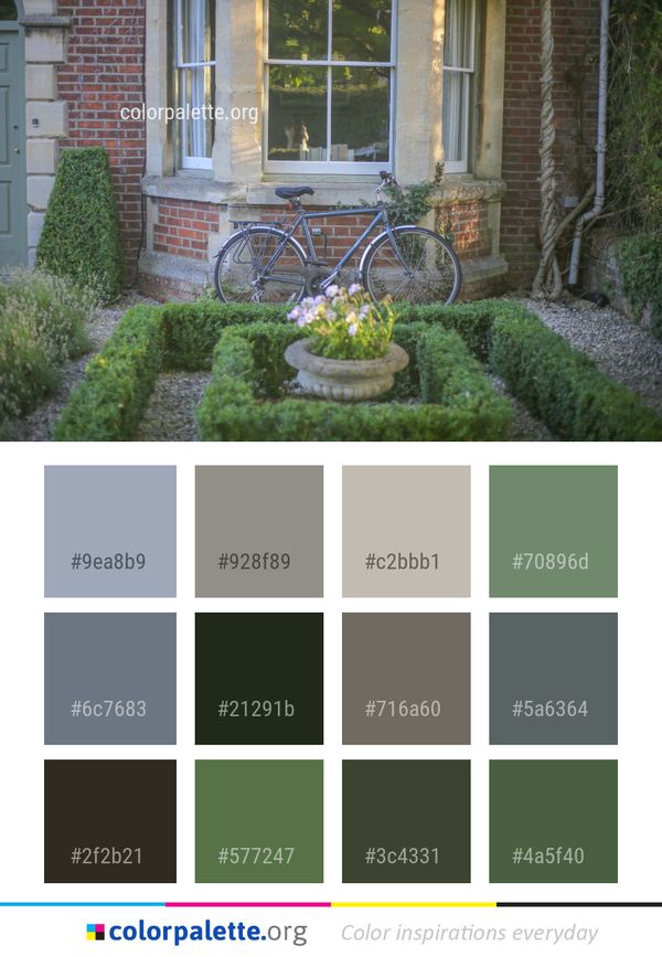 Home Plant Property Color Palette