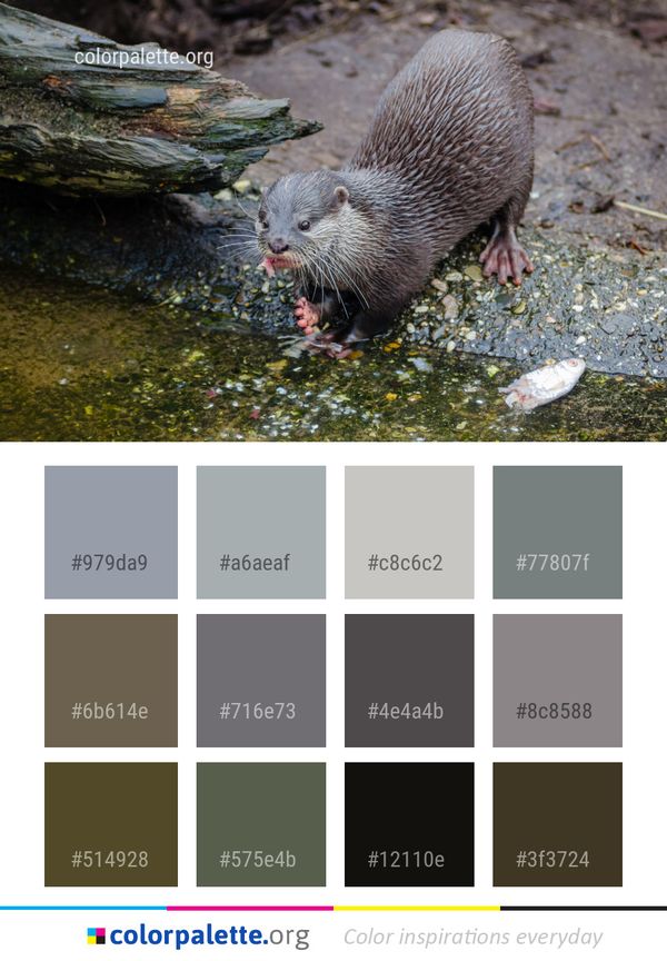 Otter Mink Mammal Color Palette