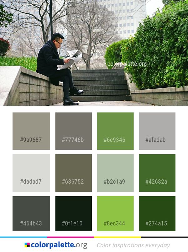 Tree Sitting Plant Color Palette