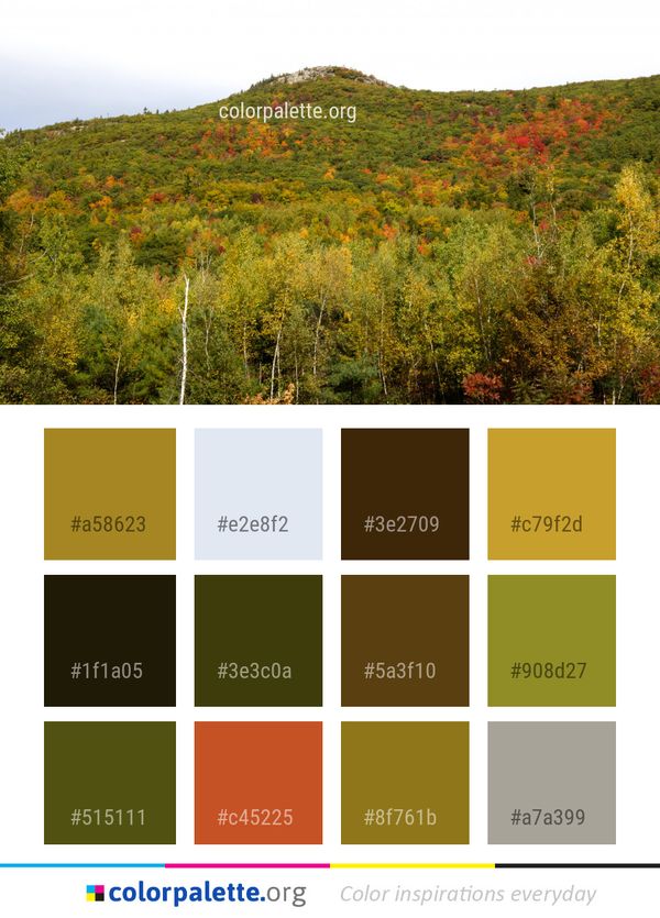 Vegetation Ecosystem Leaf Color Palette