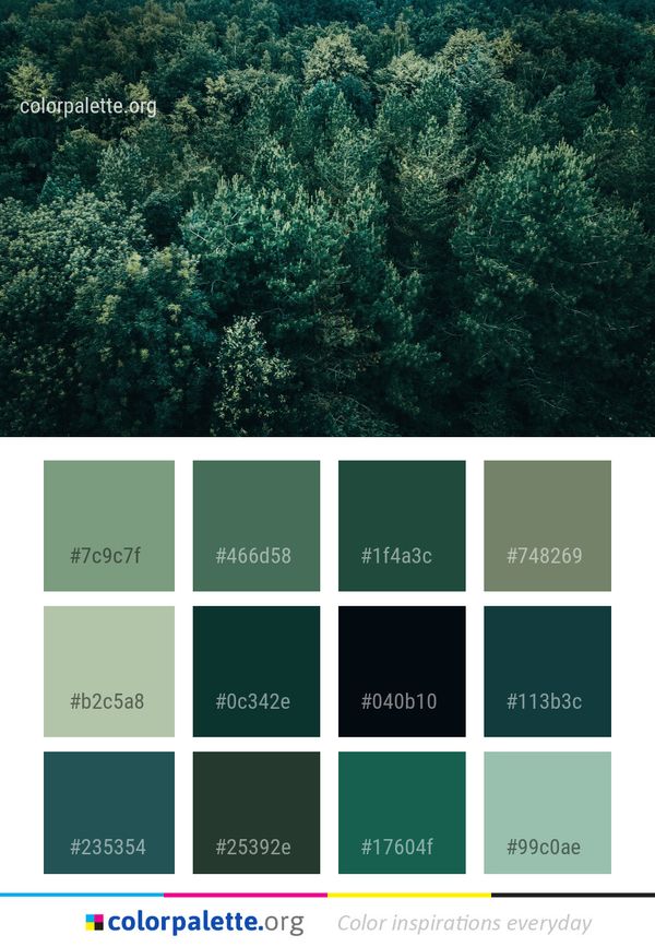 Vegetation Ecosystem Reef Color Palette