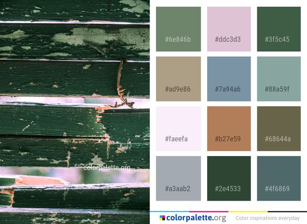 Water Green Reflection Color Palette