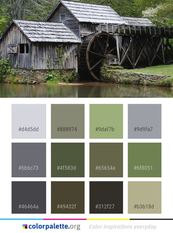 Water Tree Shack Color Palette