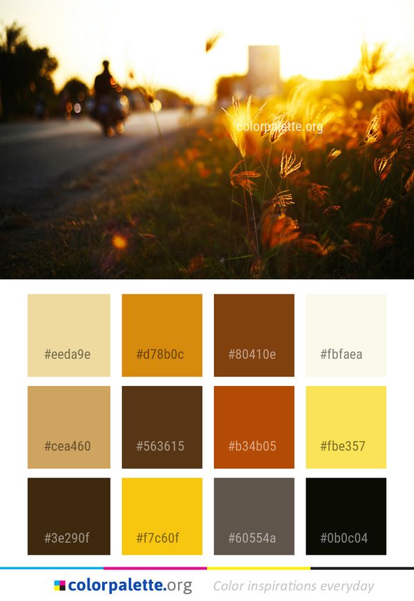 Yellow Sky Plant Color Palette