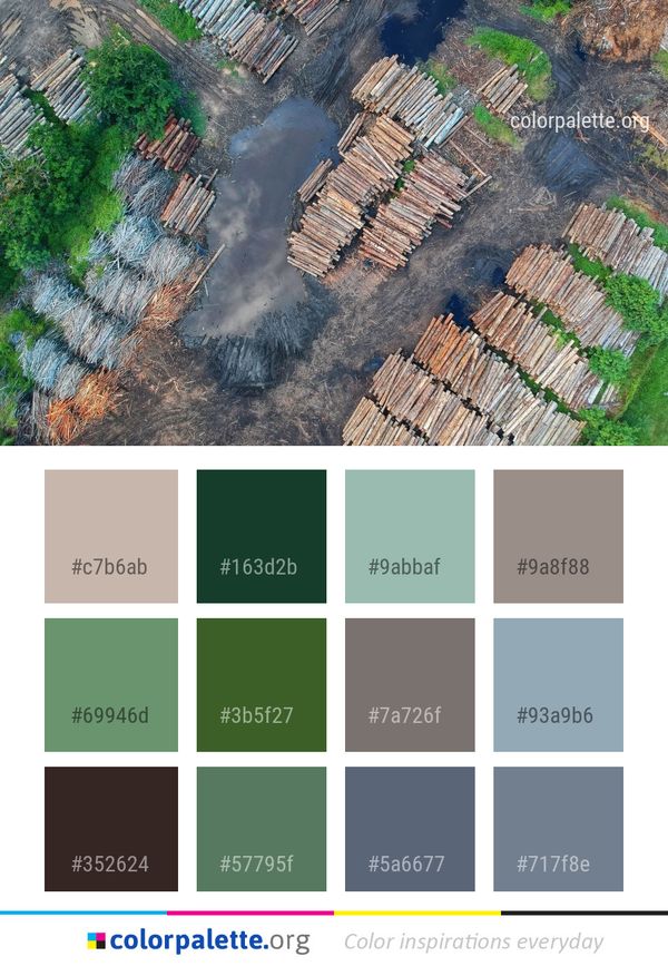 Aerial Photography Bird's Eye View Biome Color Palette