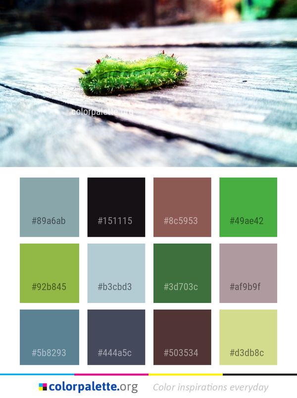 Caterpillar Green Larva Color Palette