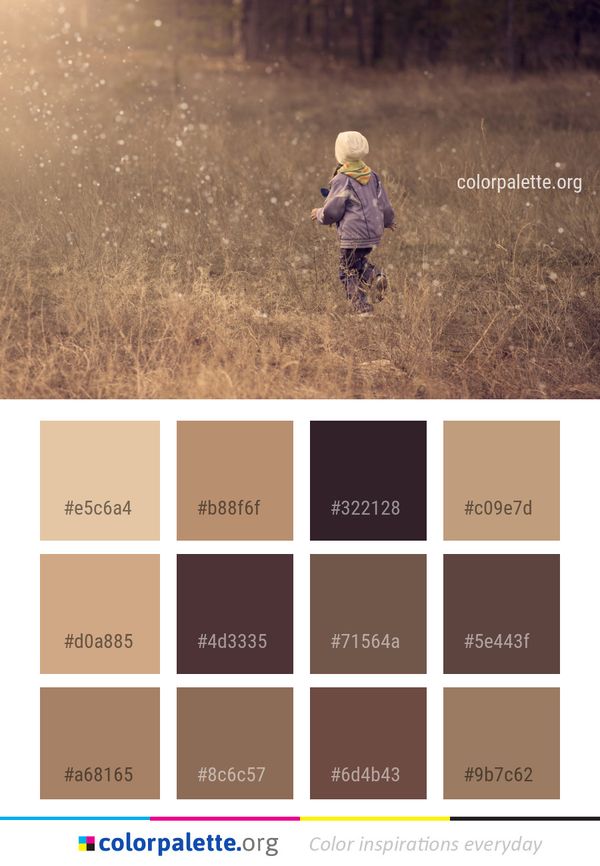 Grass Field Family Color Palette