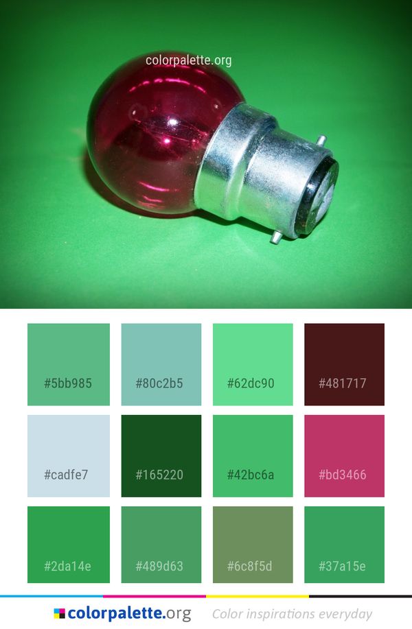 Light Macro Photography Product Color Palette