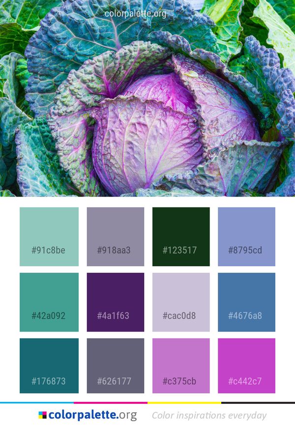 Purple Leaf Vegetable Color Palette