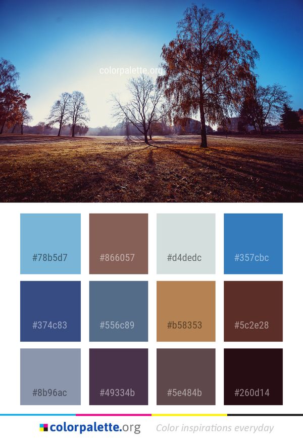 Sky Nature Tree Color Palette