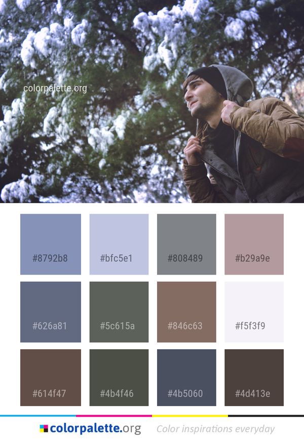 Tree Woody Plant Color Palette