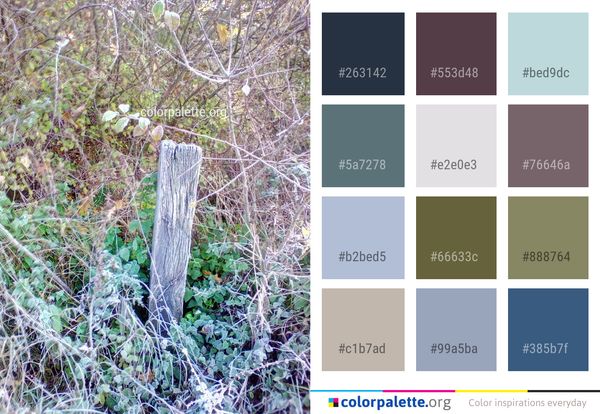 Vegetation Flora Tree Color Palette