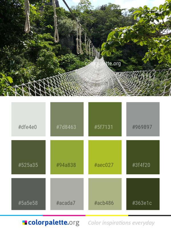 Vegetation Nature Reserve Leaf Color Palette