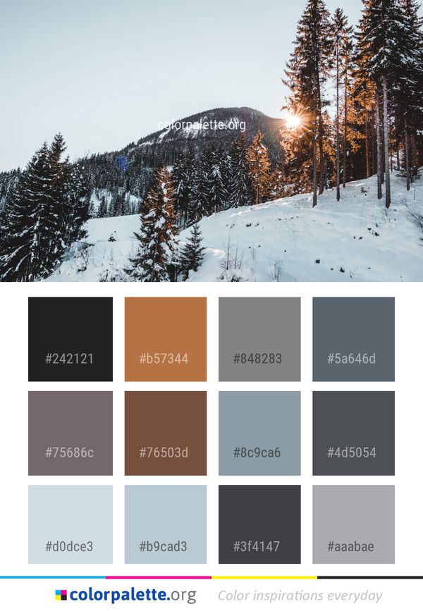 Winter Snow Tree Color Palette