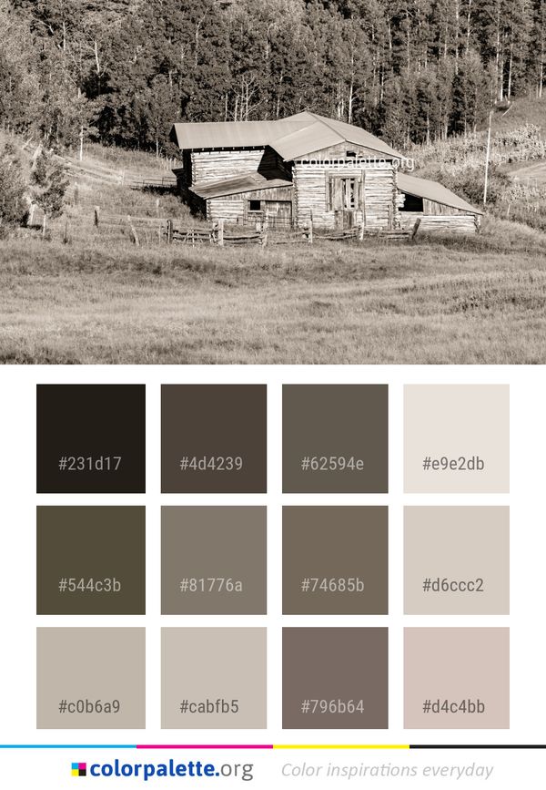Black And White House Shack Color Palette