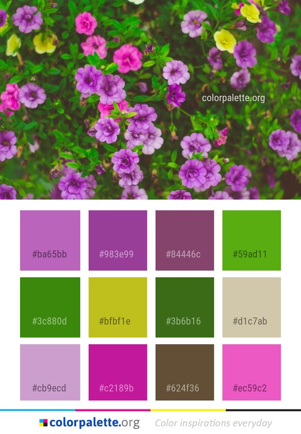 Flower Purple Flora Color Palette