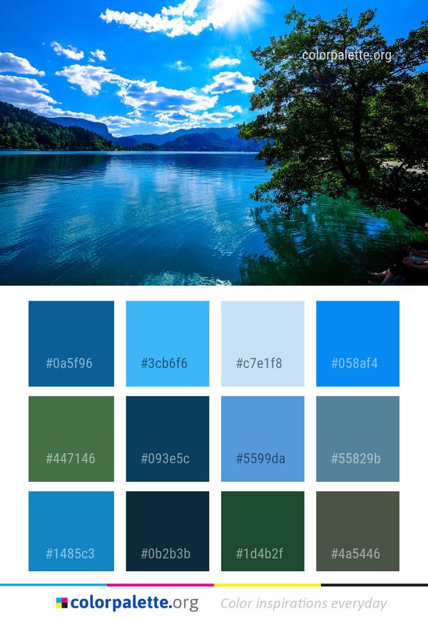 Nature Water Reflection Color Palette