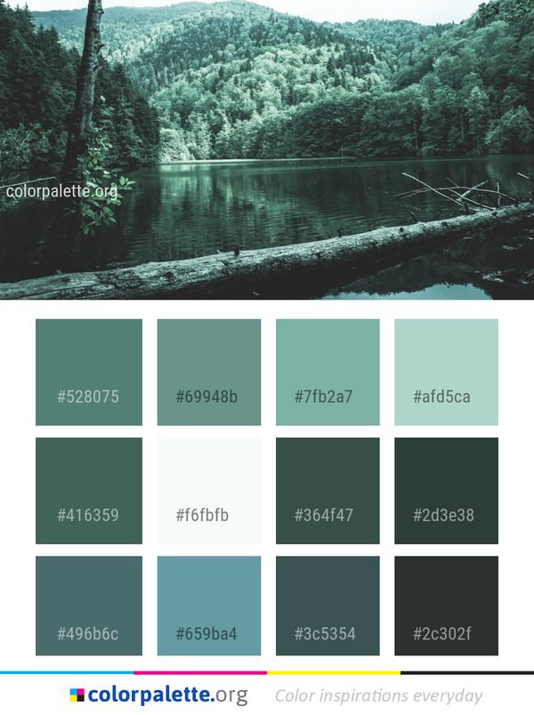 Nature Water Reflection Color Palette