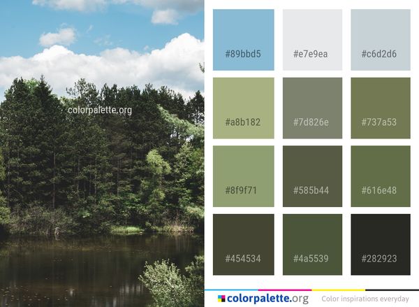 Reflection Nature Water Color Palette