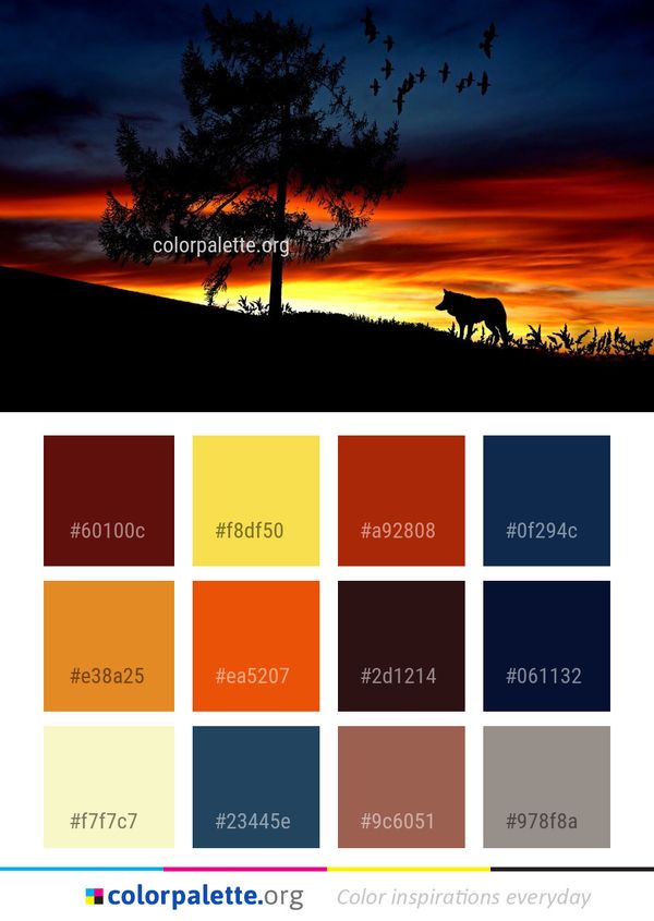 Sky Nature Sunset Color Palette