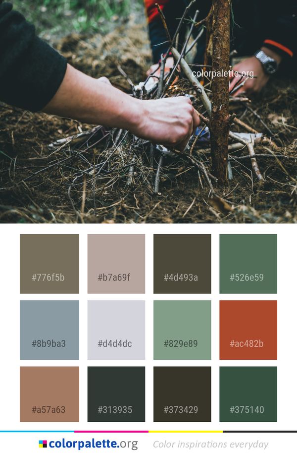 Tree Soil Grass Color Palette