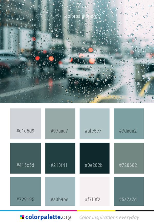 Water Rain Tree Color Palette
