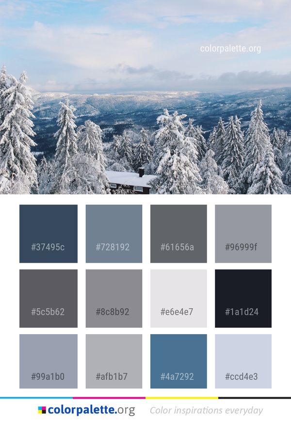 Winter Snow Sky Color Palette