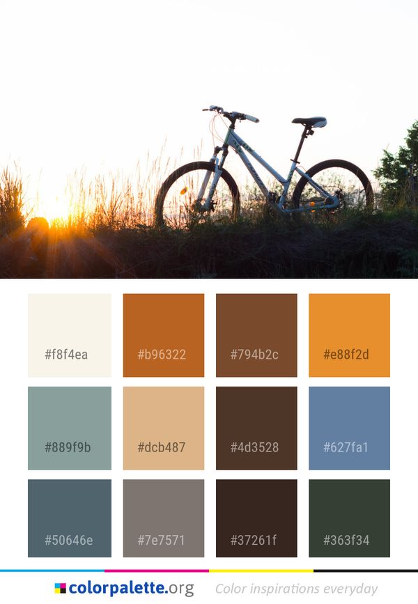 Bicycle Land Vehicle Road Color Palette