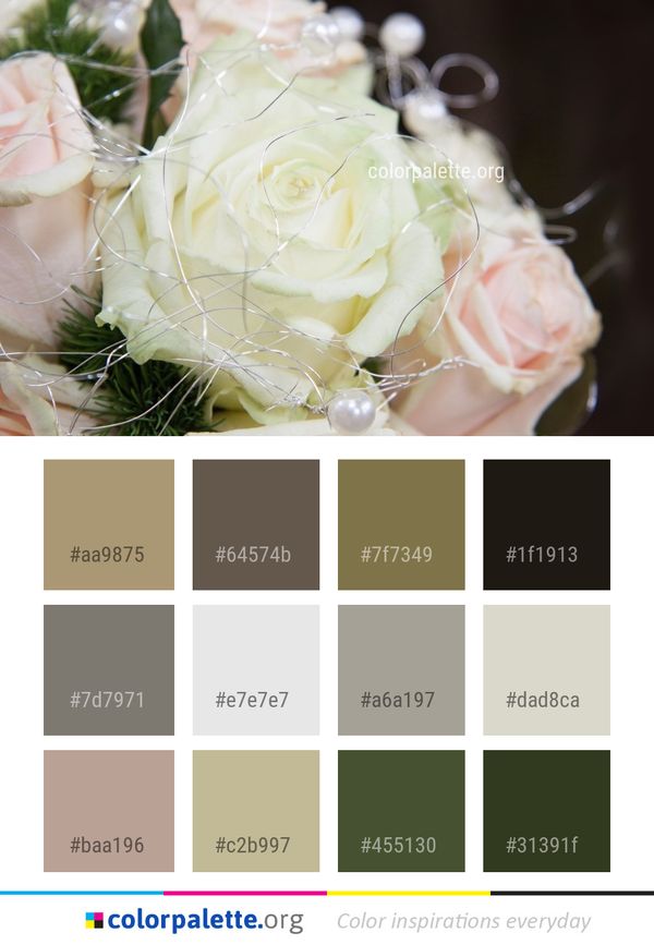 Flower Rose Family Color Palette
