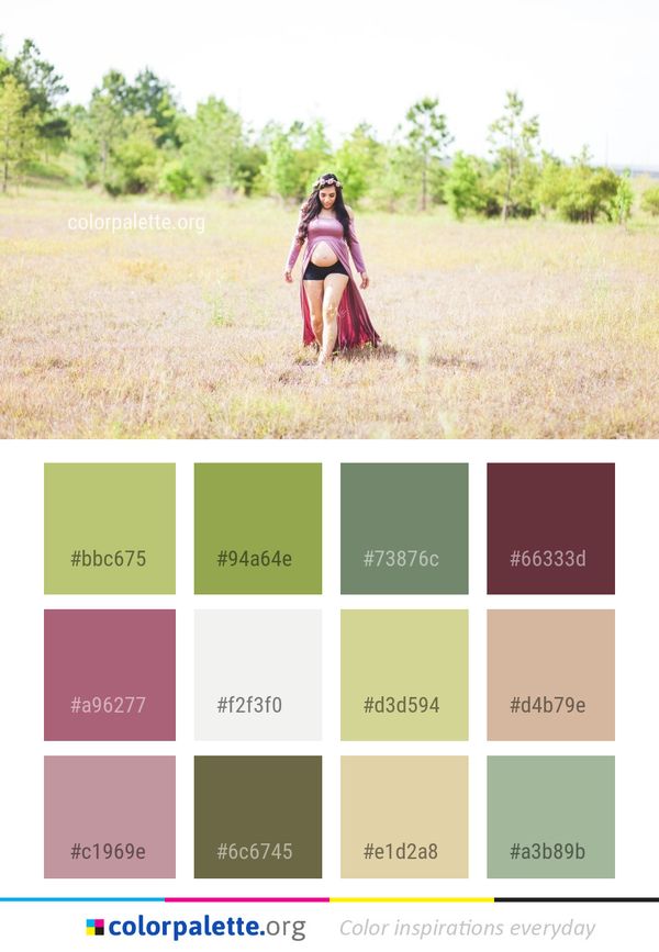 Photograph Grassland Grass Color Palette