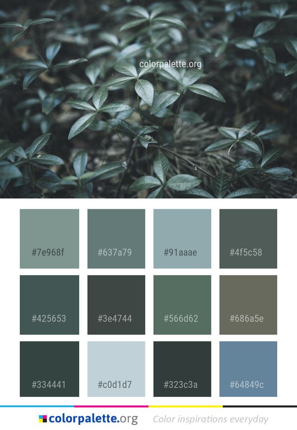 Plant Leaf Flora Color Palette