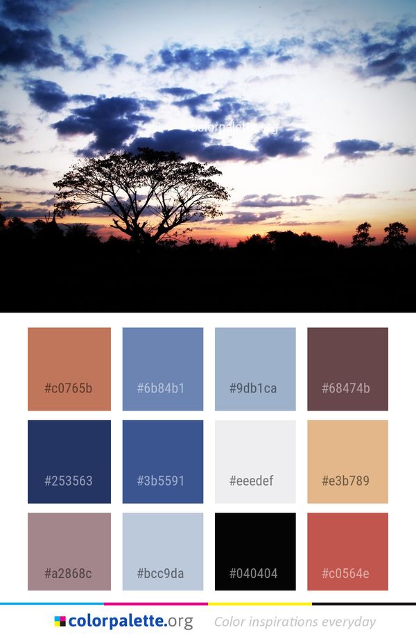 Sky Cloud Tree Color Palette