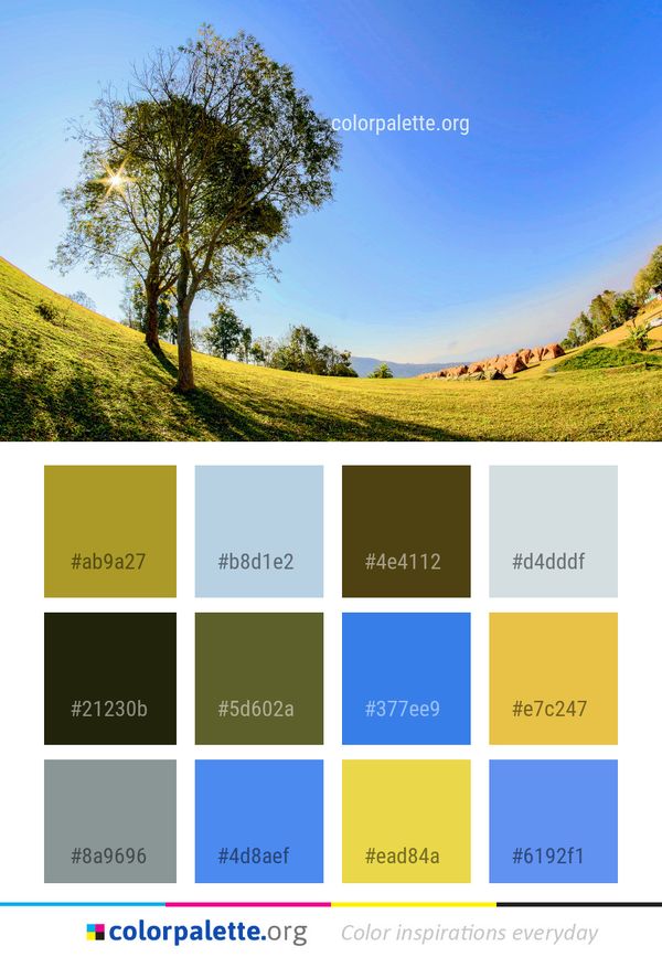 Sky Grassland Nature Color Palette