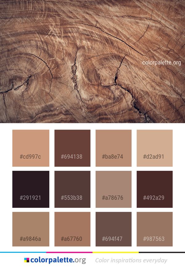 Wood Geology Rock Color Palette
