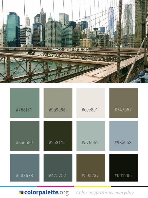 Metropolitan Area Skyscraper Urban Color Palette