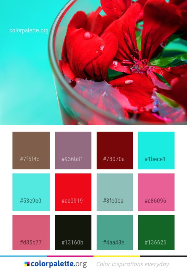 Red Flower Flora Color Palette