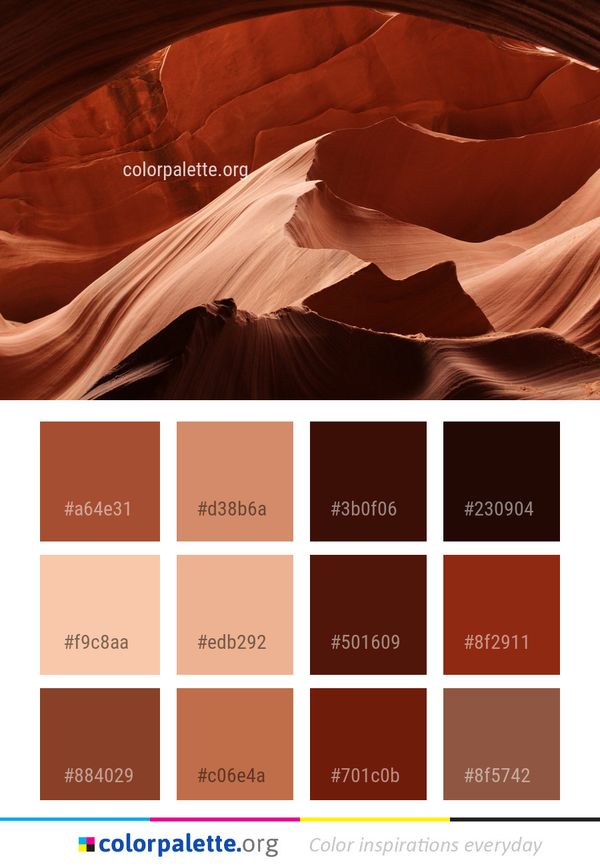 Red Light Close Up Color Palette