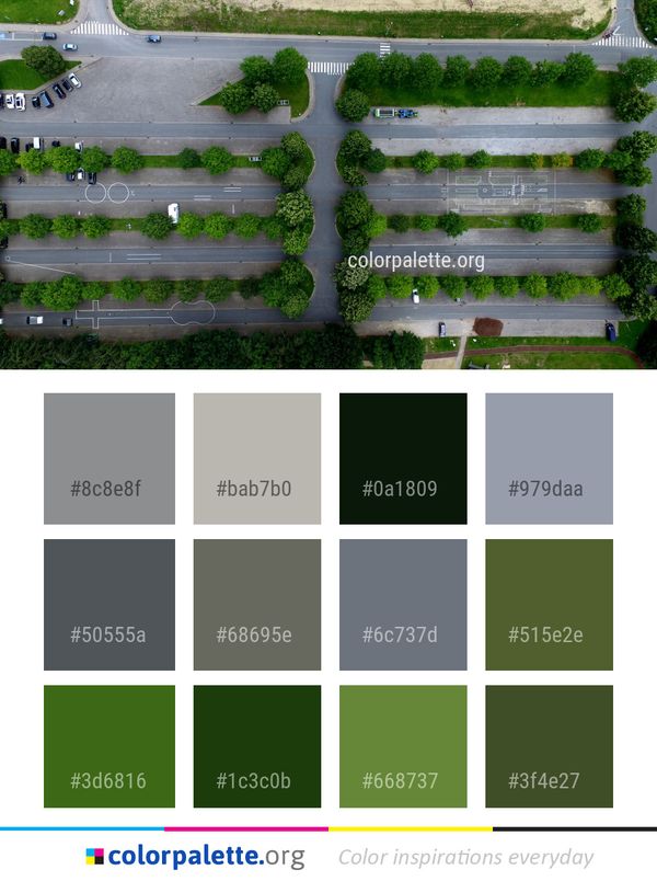 Residential Area Suburb Tree Color Palette