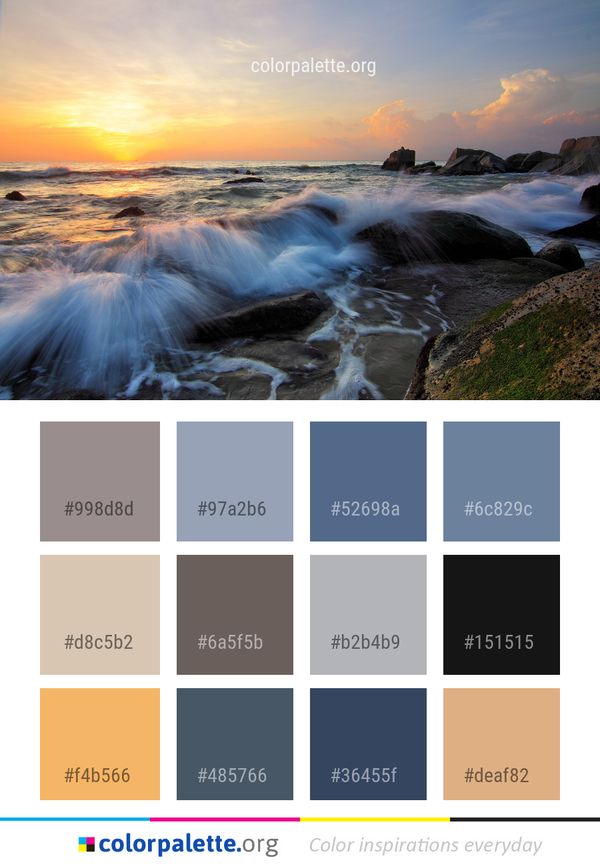 Sea Body Of Water Shore Color Palette