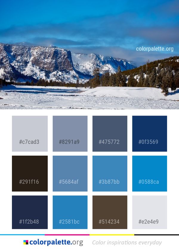 Sky Winter Snow Color Palette