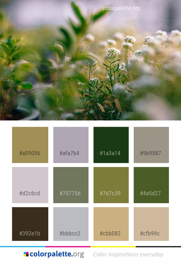 Vegetation Flora Plant Color Palette