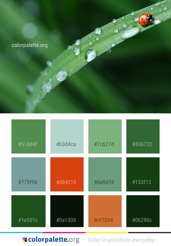 Water Dew Moisture Color Palette