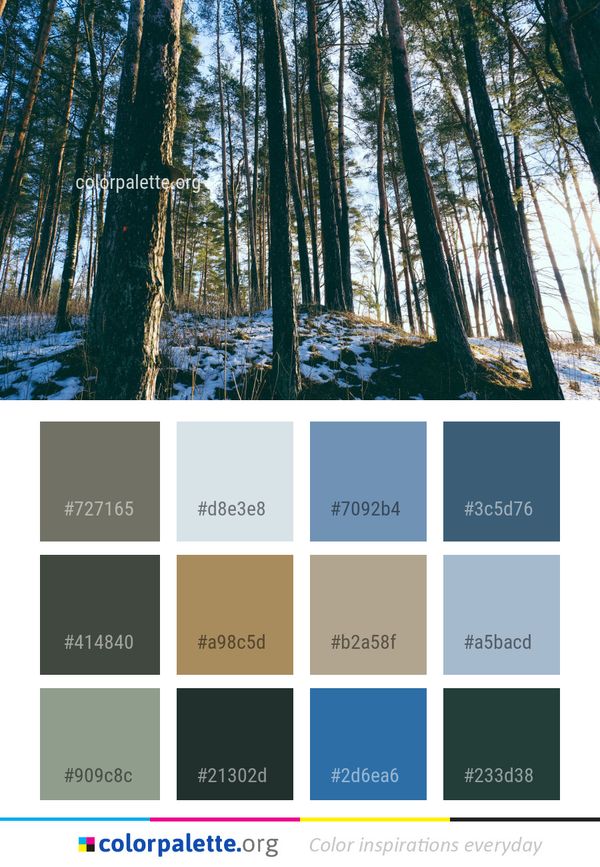 Winter Nature Tree Color Palette