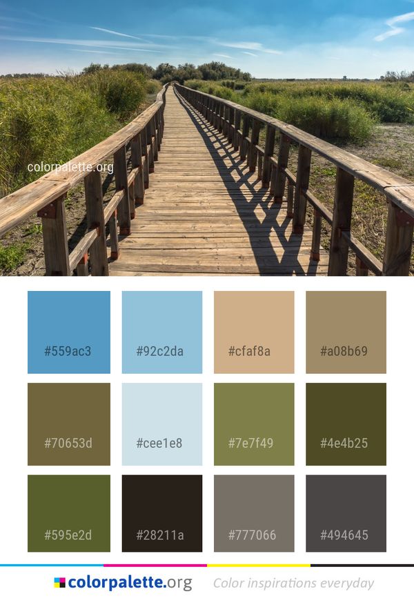 Boardwalk Path Walkway Color Palette