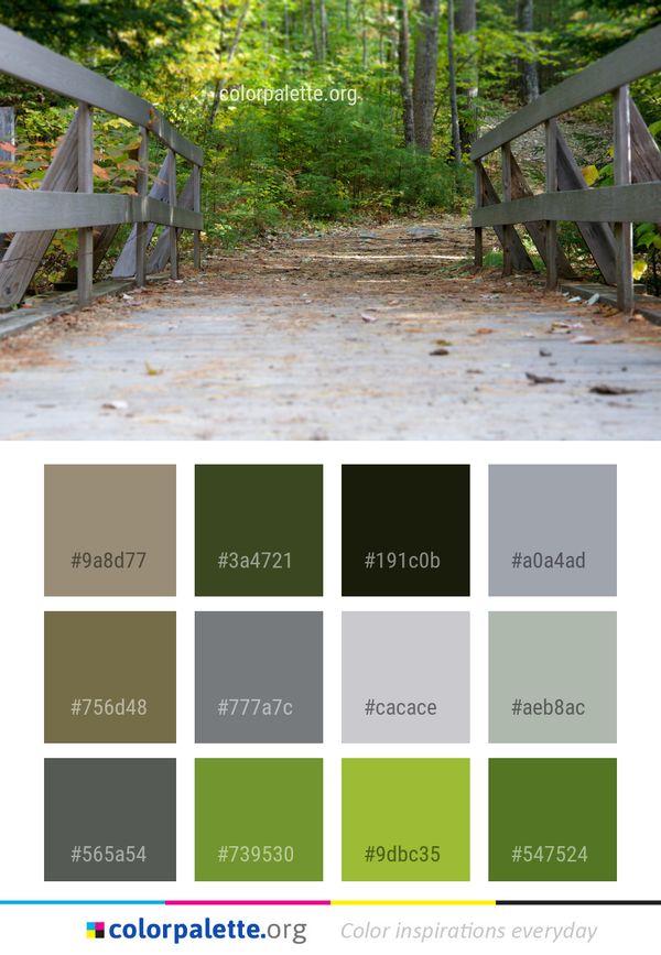 Path Leaf Tree Color Palette