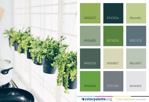 Plant Flowerpot Herb Color Palette