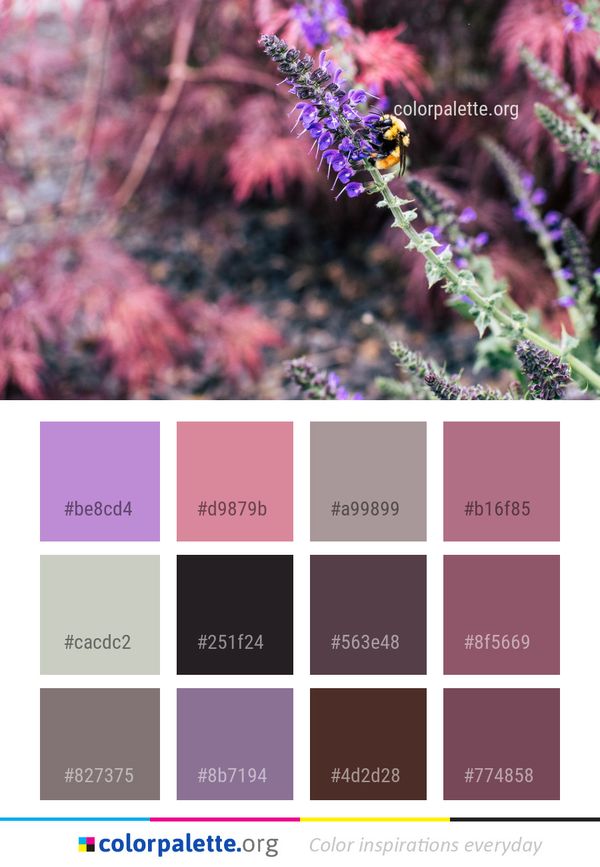 Purple Flora Plant Color Palette