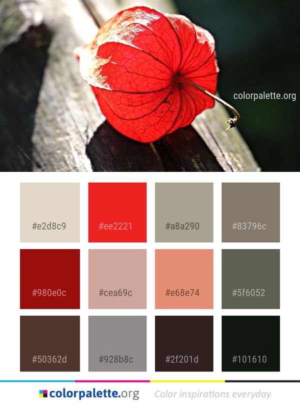Red Flora Close Up Color Palette