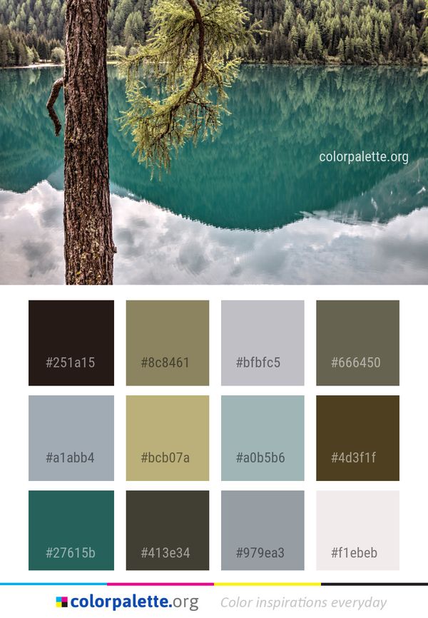 Reflection Water Nature Color Palette